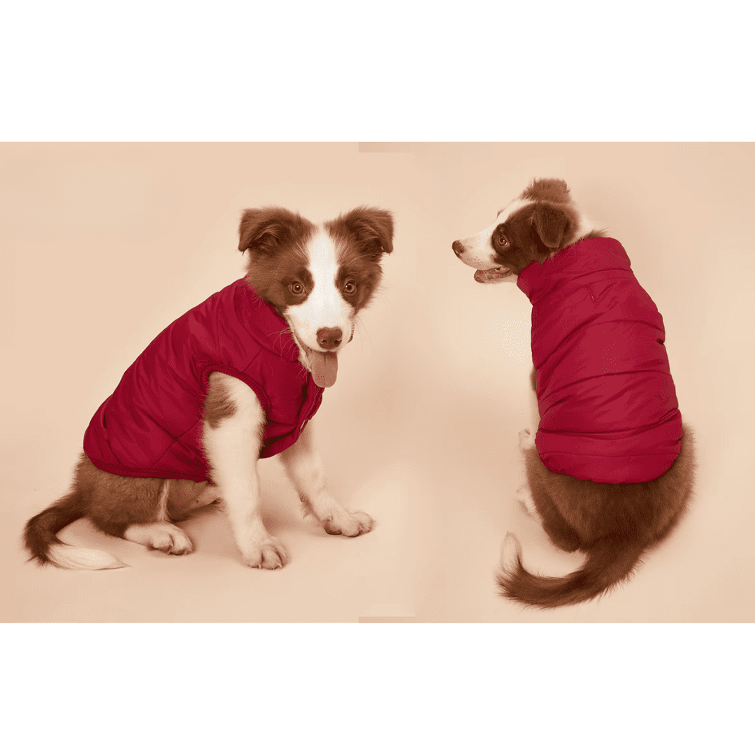18_9bcd4788-7275-471e-b15f-e1d8fd55bd62.png