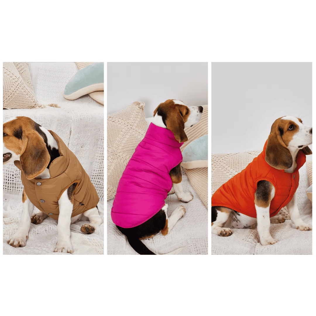 Casaco Forrado para Pet Forglows
