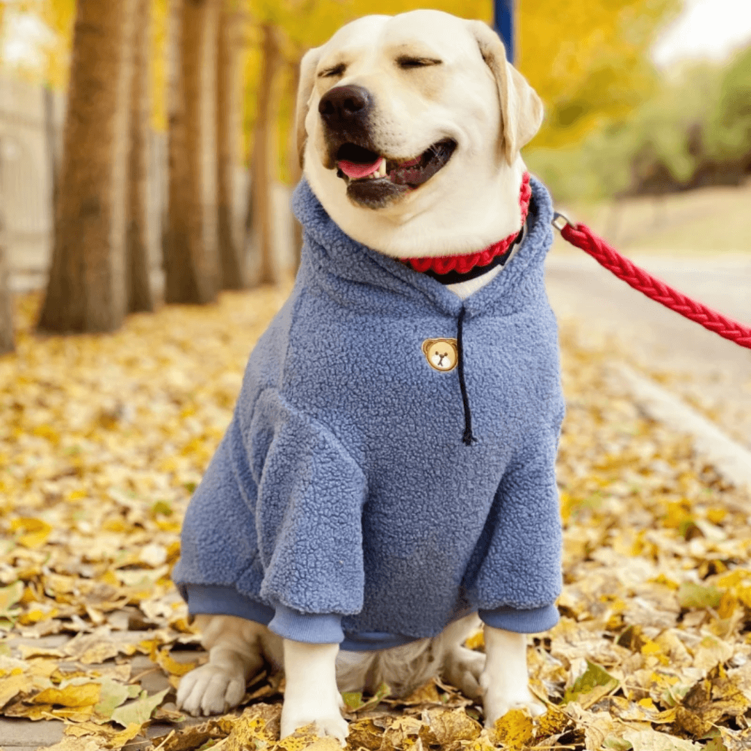 1_19843710-6022-4f31-b968-7b7096febf8f.png