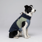 Jaqueta para Pet Forglows
