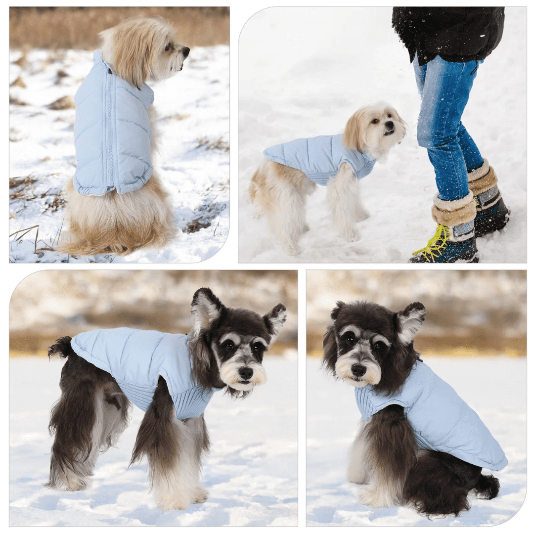 Casaco Puffer Impermeável para Pet Forglows