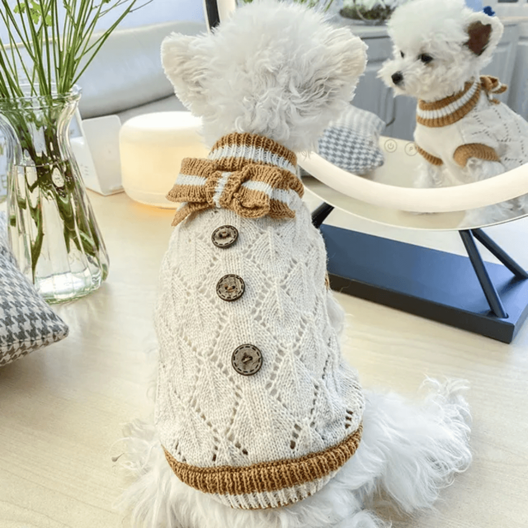 Suéter Pet de Tricot Forglows