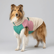 Jaqueta para Pet Forglows