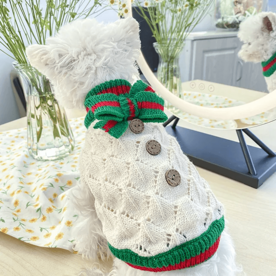 Suéter Pet de Tricot Forglows
