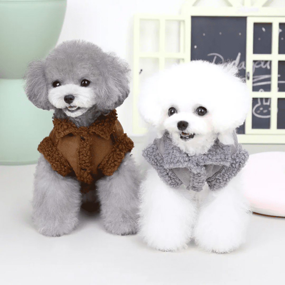 Roupa para Pet Nobuck com Pelúcia Forglows