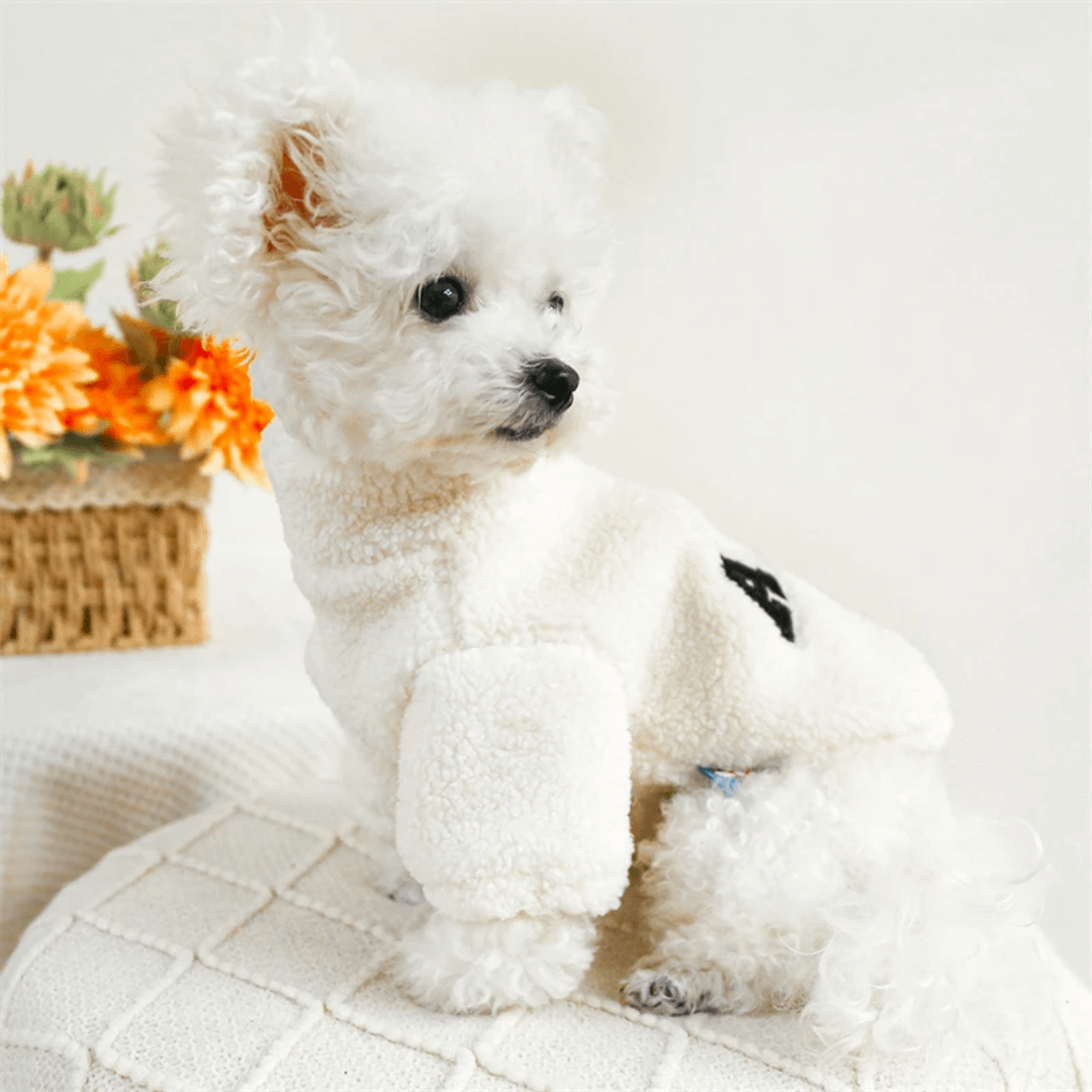 Roupa para Pet Peluciada ABC Forglows