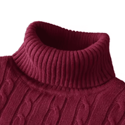 Suéter Masculino Gola Alta Trançado Forglows