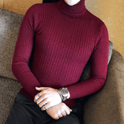 Suéter Masculino Gola Alta Vancouver Forglows