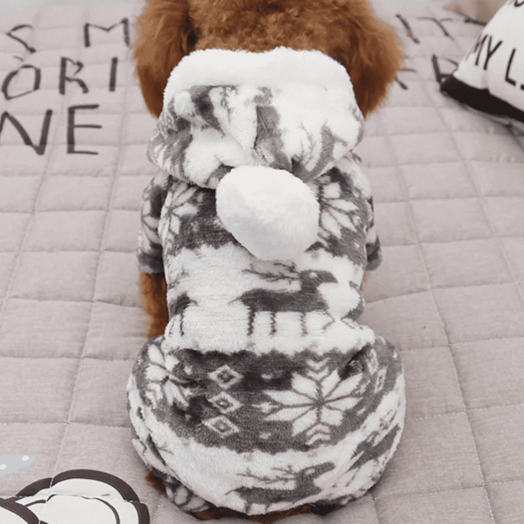5_b8c95473-f041-420c-b4b9-e5018f4dcb33.png