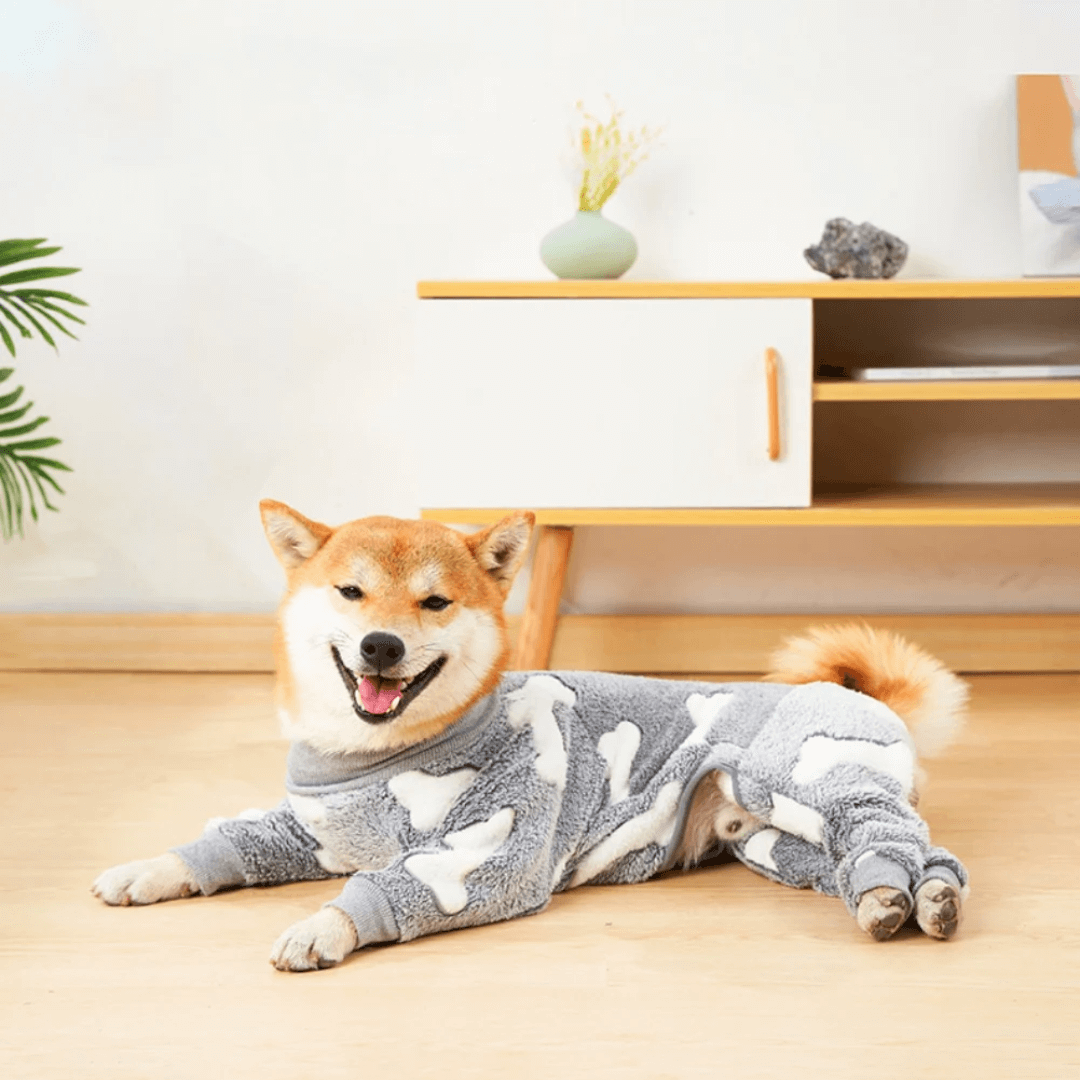 5_d383c17e-4ac1-46e1-bd44-3e1342d47f3a.png