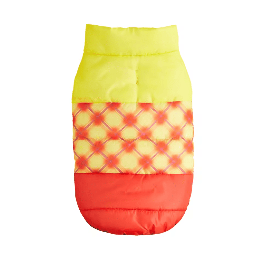 Casaco Forrado para Pet Forglows