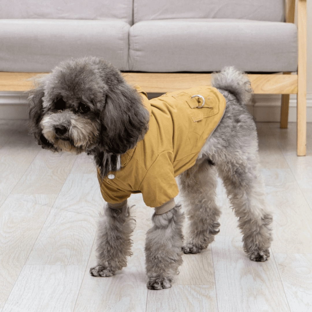 Roupinha Pet Parka com Pelúcia Forglows