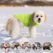 Casaco Puffer Impermeável para Pet Forglows